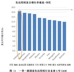 全球生活用纸和一次性卫生用品创新趋势回顾及一带一路国家分析